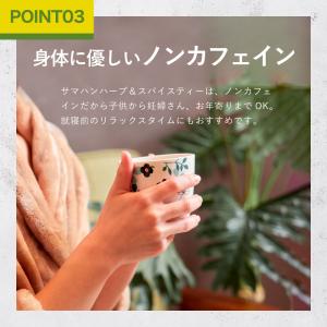 サマハンティー 1箱 4g×20包 スパイステ...の詳細画像4