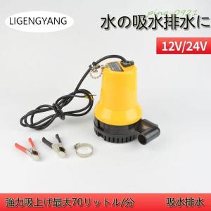 赤字覚悟!水中 ポンプ 12V 24V 海水 ビ...の商品画像