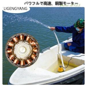 赤字覚悟!水中 ポンプ 12V 24V 海水 ...の詳細画像2