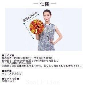 赤字覚悟!ポンポンチア10個入りセットハンドフ...の詳細画像5