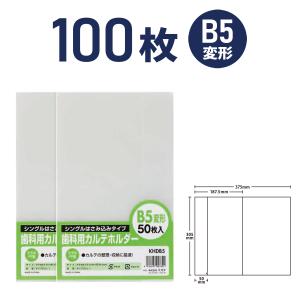 30穴 コレクションバインダー 10冊 A4ワイドリフィール対応 30リング