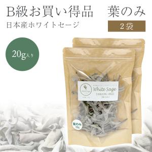 日本産 ホワイトセージ 枝付き 無農薬 浄化 消臭 お香 アロマ イン