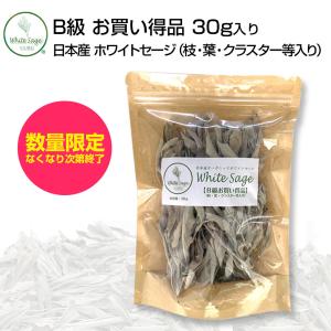 日本産 ホワイトセージ B級お買い得商品 葉・枝・クラスター等入り 30g 浄化用 消臭 クリックポスト パワーストーン 浄化 お香