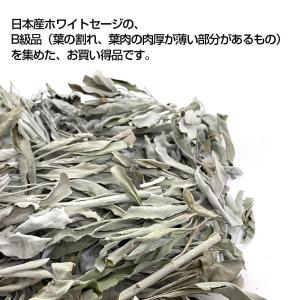 日本産 ホワイトセージ B級お買い得商品 葉・...の詳細画像4