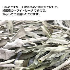 日本産 ホワイトセージ B級お買い得商品 葉・...の詳細画像5