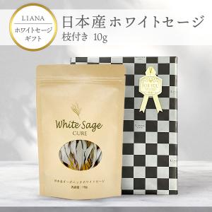 ギフト】香皿C ホワイトセージ 葉のみ 10g×2袋 日本産 無農薬 浄化 消
