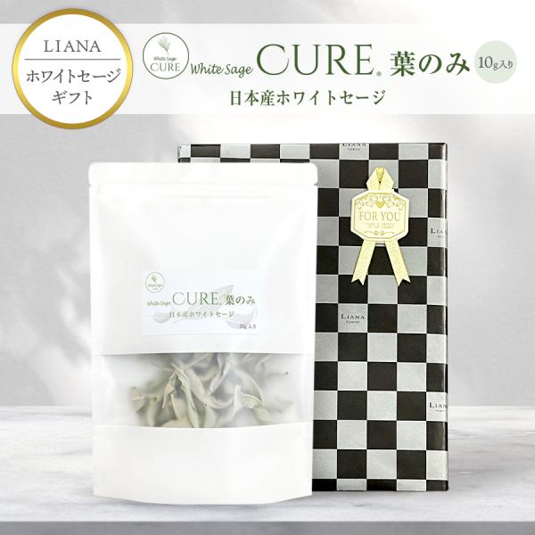 【ギフト】ホワイトセージ キュア 葉のみ 10g 日本産 無農薬 浄化 消臭 お香 アロマ Japa...