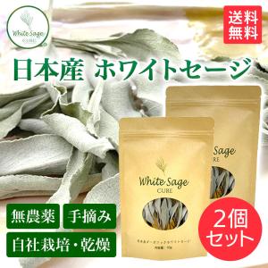 日本産 ホワイトセージ 枝付き 約10g×2パック 浄化用 パワーストーン浄化 消臭 部屋 お香 アロマ Japanese white sage 10g×2 packs