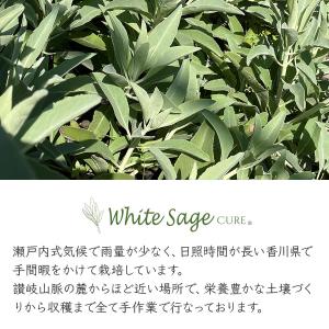 日本産 ホワイトセージ 枝付き 約10g×2パ...の詳細画像2