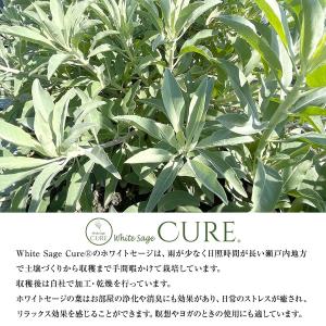 日本産 ホワイトセージ 枝付き 無農薬 浄化 ...の詳細画像2