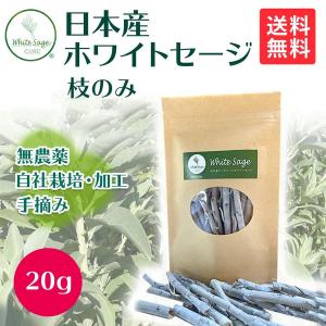 GOLD STONE ホワイトセージ 枝付き クラスター 無選別 50g 無農薬