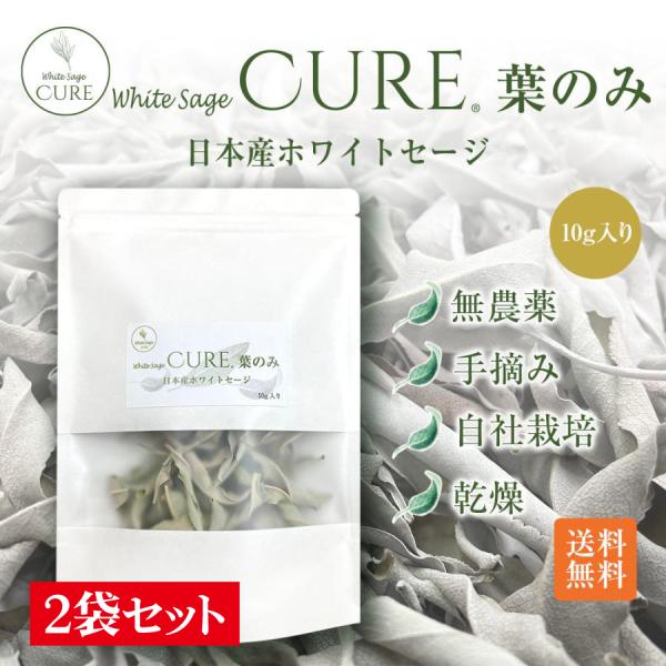 ホワイトセージ キュア 葉のみ 日本産ホワイトセージ【２袋セット】 無農薬 浄化 消臭 お香 アロマ...