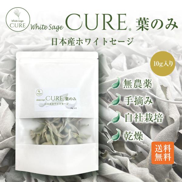 ホワイトセージ キュア 葉のみ 日本産ホワイトセージ 無農薬 浄化 消臭 お香 アロマ Japane...