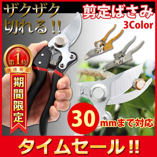剪定ばさみ バサミ はさみ ハサミ 鋏 強力 庭 ガーデン 園芸 枝切り 枝切りばさみ ロック 庭木...