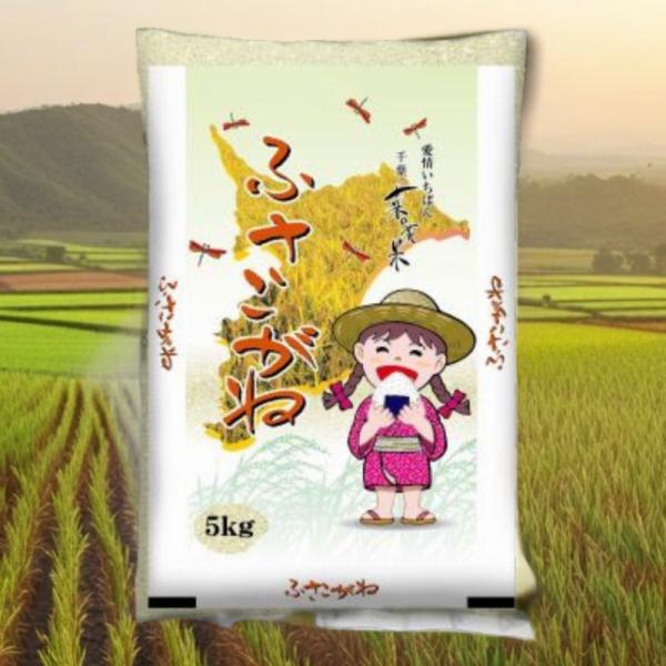 新米 お米 5kg ふさこがね 千葉県産 令和7年産 白米 おこめ　爆買