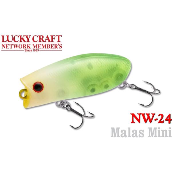 ラッキークラフト NW-Amigo 24 マラスミニ