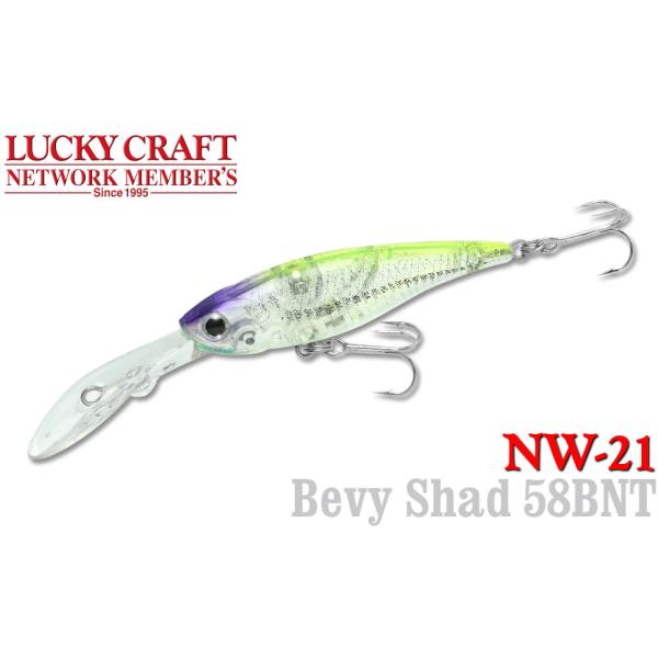 ラッキークラフト NW-Amigo 21 ベビーシャッド58BNT