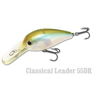 リバースクラフト　ファンキーバグ110 LUCKY CRAFT（ラッキークラフト） ラッキークラフトUSA SKT 110