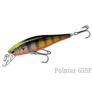 天龍 Rayz Spectra（レイズ スペクトラ）RZS82M (Pluggin' Custom