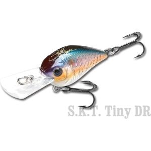 ラッキークラフトUSA SKTタイニーDR