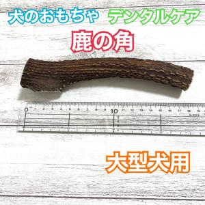 鹿の角【大型犬用】長さ:16cm〜17cm 太さ2cm〜2.5cm｜hapipo-dogsweets