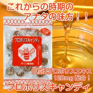 ソーキ プロポリス 飴の商品一覧 通販 Yahoo ショッピング