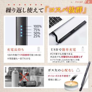 NEXARC 【日本ブランド】 プラズマライタ...の詳細画像4