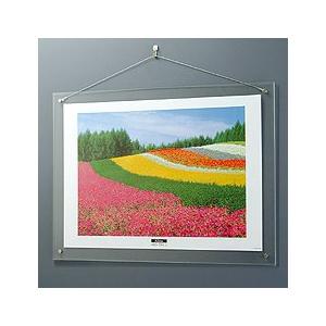 NAKABAYASHI アクリル製ピクチャーフレーム 壁掛けタイプ A2 フ-ACH-A2