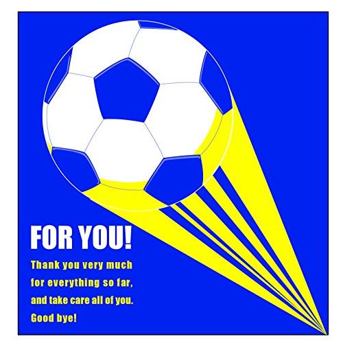 アルタ(Artha) 色紙 寄せ書き 学校色紙 サッカー AR0819069