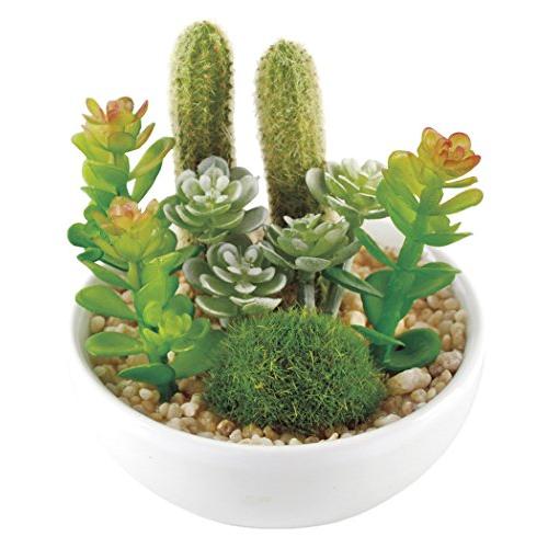 Kishima CT触媒 消臭アーティフィシャルグリーン サキュレントリフレリウム KH-60987