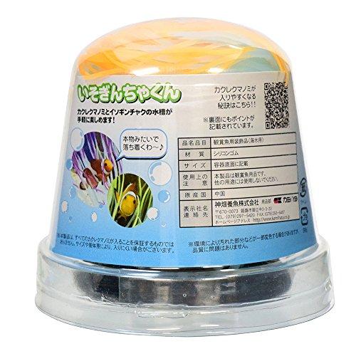 カミハタ いそぎんちゃくん オレンジ M サイズ