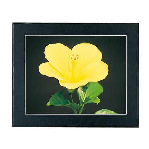 FUJICOLOR 額縁 マットパネルDX A3 木製 ブラック 504730