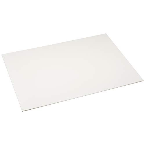 遠藤商事 業務用 ケーキプレートレクタンギュラー 39cm アクリル 日本製 WKCA1039