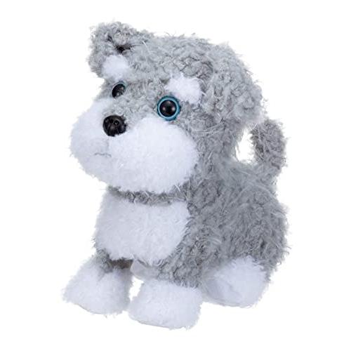 いっしょにワントレ1・2・3!ミニチュアシュナウザー