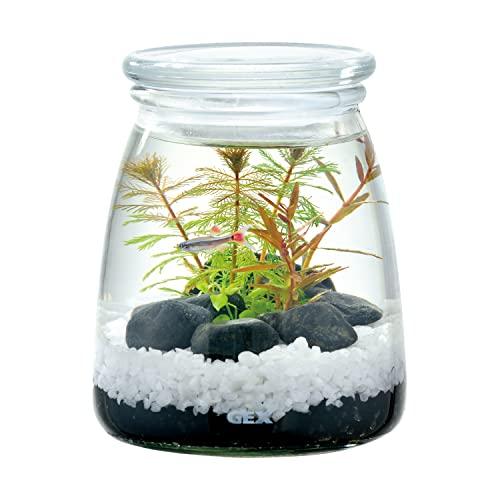 ジェックス ボトリウム ネイチャーセット ホワイト