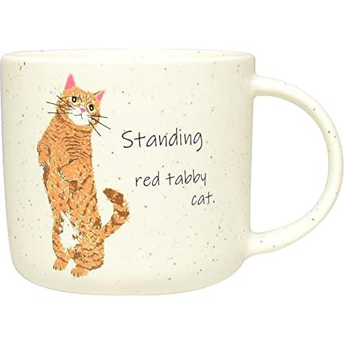 逸品社(Ippinsha) CYAMEKKE (チャメッケ) マグ 300ml 茶トラ 40922