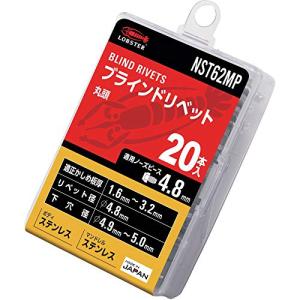 ロブテックス(エビ) ブラインドリベット エコパック ステンレス/ステンレス 6-2 (20本入) NST62MP｜hapitize