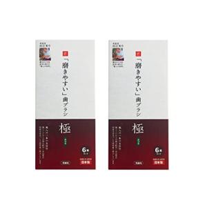 【お得な2個セット】歯ブラシ職人 田辺重吉考案 LT-53 「磨きやすい」歯ブラシ 極（ふつう）6本セット×2個｜hapitize