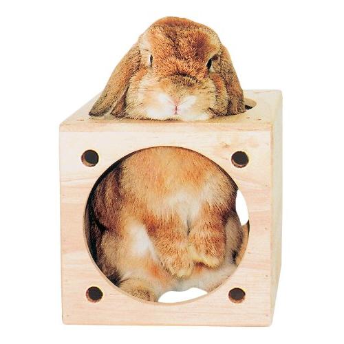 KAWAI C・A・T キューブハウス