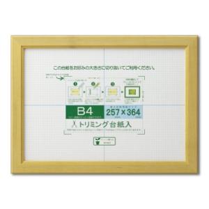 大仙 額縁 OA額 OAカノエ B4 ナチュラル シュリンクパック J635D6200｜川西ストア