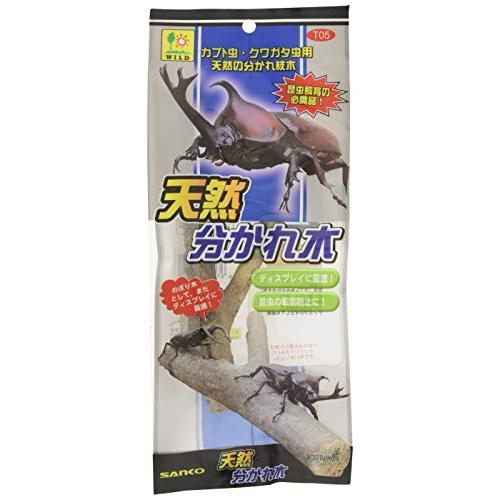 三晃商会 SANKO 天然 分かれ木