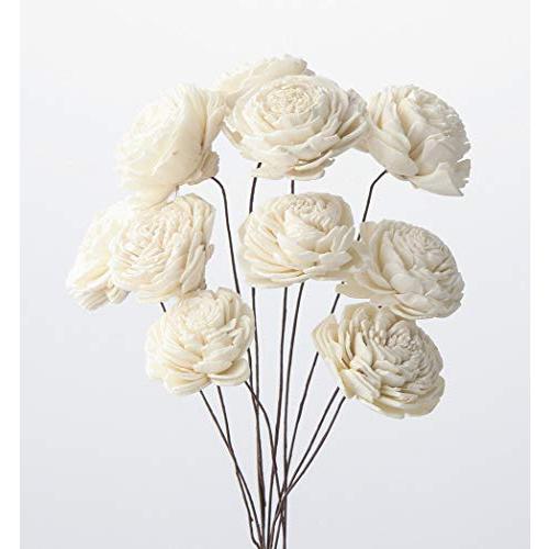 大地農園 ドライフラワー ソーラーローズ 小 シロ 約花径4.0×L20cm 10本入 DO0320...