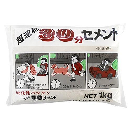 家庭化学 超速乾30分セメント ホワイト 1kg