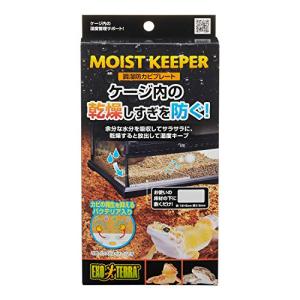 エキゾテラ GEX EXOTERRA 調湿防カビプレート 床材の下に敷くだけ ケージ内の乾燥しすぎを防ぐ 多孔質構造のセラミック製 W18×D9｜hapitize