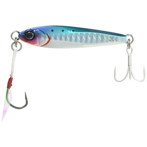 JACKALL(ジャッカル) メタルジグ ビッグバッカー ジグ 62mm 30g イワシグローベリー...