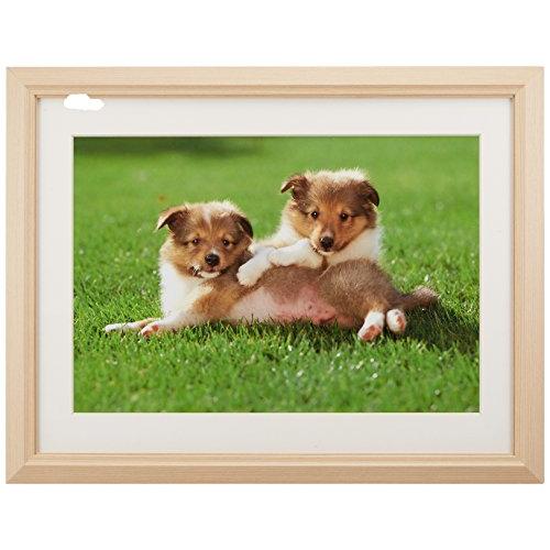 FUJICOLOR 額縁 M12 アクリル 木地 ワイド4切 木製 ベージュ 47024