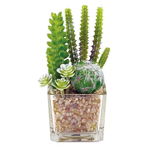 Kishima CT触媒 消臭アーティフィシャルグリーン サキュレントリフレリウム KH-60985