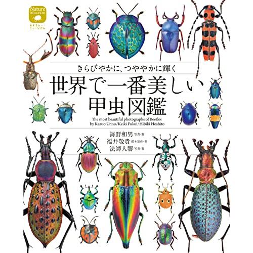 世界で一番美しい甲虫図鑑: きらびやかに、つややかに輝く (ネイチャー・ミュージアム)