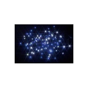 タカショー ソーラーイルミネーション 50球 ホワイト/ブルー LGI-ST50WB クリスマス 飾...