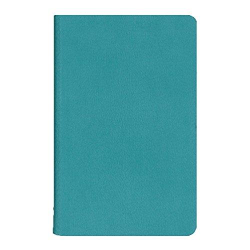 ダイゴー メモ すぐログ 鉛筆付き 手帳 マットターコイズ A1292